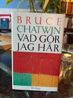 Vad g&ouml;r jag h&auml;r