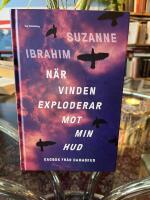 När vinden exploderar mot min hud : Dagbok från Damaskus