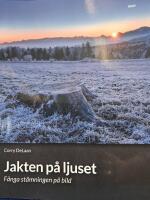 Jakten p&aring; ljuset : f&aring;nga st&auml;mningen p&aring; bild - skapa uttrycksfulla bilder