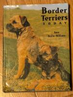 Border Terriers today