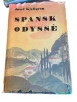 Spansk bodyss&eacute;