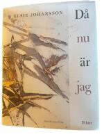 D&aring; nu &auml;r jag