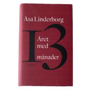 &Aring;ret med 13 m&aring;nader : en dagbok