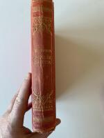 Det sk&ouml;nas verld - Popul&auml;r estetik