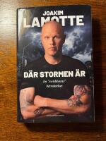 D&auml;r stormen &auml;r :  en "swishhoras" betraktelser