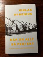 H&auml;r &auml;r allt s&aring; perfekt : 20 politiska samtidsreportage