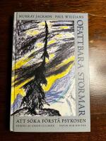 Ofattbara stormar : Att s&ouml;ka f&ouml;rst&aring; psykosen