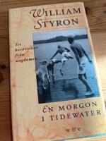 En morgon i Tidewater : tre ber&auml;ttelser fr&aring;n ungdomen