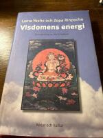 Visdomens energi