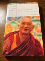 Bodhisattva attitude