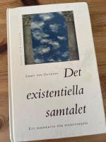 Det existentiella samtalet : Ett perspektiv f&ouml;r psykoterapin