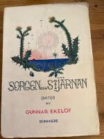 Sorgen och stjärnan