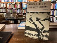 Stormens anatomi