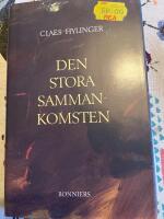 Den stora sammankomsten : roman