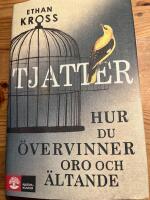 Tjatter : hur du &ouml;vervinner oro och &auml;ltande