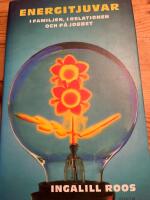 Energitjuvar : i familjen, i relationen och p&aring; jobbet