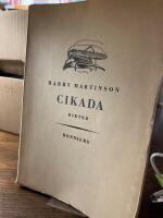 Cikada