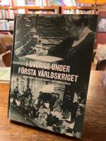 I Sverige under f&ouml;rsta v&auml;rldskriget - undan stormen