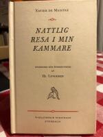 Nattlig resa i min kammare