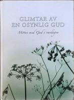 Glimtar av en osynlig Gud : m&ouml;ten med Gud i vardagen