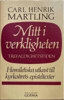 Mitt i verkligheten 6. Advent - Trefaldighetstiden  Homiletiska utkast till kyrko&aring;rets episteltexter