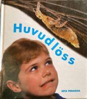 Huvudl&ouml;ss