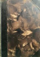  Bibelkonkordans enligt den svenska kyrkobibeln av &aring;r 1917 Nya Testamentet