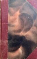 Bibelforskaren 1906-1907 Tidskrift f&ouml;r skrifttolkning och praktisk kristendom