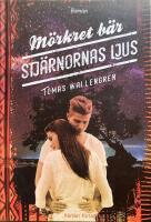 M&ouml;rkret b&auml;r stj&auml;rnornas ljus