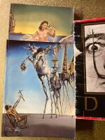 Dal&iacute;: The Paintings: 1904-1989 (English edition)