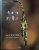 Buren av ljus