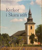 Kyrkor i Skara stift