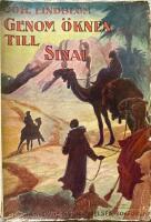  Genom &ouml;knen till Sinai 