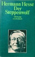 Der Steppenwolf : Erz&auml;hlung