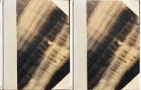 Kung Karl den unge hj&auml;lte. Historisk roman I. och II.