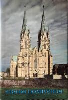 Skara domkyrka : kort historik och v&auml;gledning