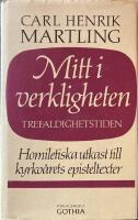 Mitt i verkligheten 6. Advent - Trefaldighetstiden  Homiletiska utkast till kyrko&aring;rets episteltexter