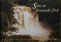 Som en brusande flod : Missionss&auml;llskapet Bibeltrogna v&auml;nners arbete i Kenya 1948-98