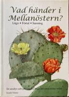 Vad h&auml;nder i Mellan&ouml;stern? - [l&ouml;gn, f&ouml;rtal, sanning]