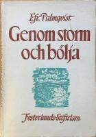 Genom storm och b&ouml;lja. En ber&auml;ttelse fr&aring;n den stora v&auml;ckelsens tid