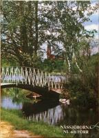 N&auml;ssj&ouml;borna f&ouml;rr och nu Ett enkelt minnesalbum