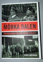 Den m&ouml;rka dalen : Panorama &ouml;ver 1930-talet