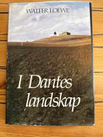 I Dantes landskap