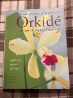 Orkid&eacute; : Dr&ouml;mmen om evig sk&ouml;nhet