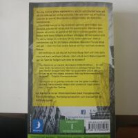 Helgon eller syndare