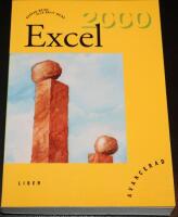 Excel 2000 avancerad