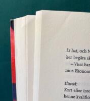 Solgudens d&ouml;ttrar - M&ouml;ten med japanska kvinnor