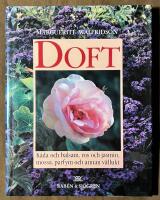 Doft - Kåda och balsam, ros och jasmin, mossa, parfym och annan vällukt