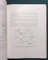 Fossil reptiles from Mongolia and Kansu