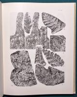 La palaeozoic plants from Y&uuml;erhhung, Kansu, China (text + plates)